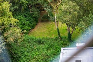 Photo 40- click for photo gallery